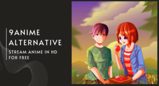 12 BEST 9ANIME ALTERNATIVES REDDIT APPROVED 2026 visual data 3