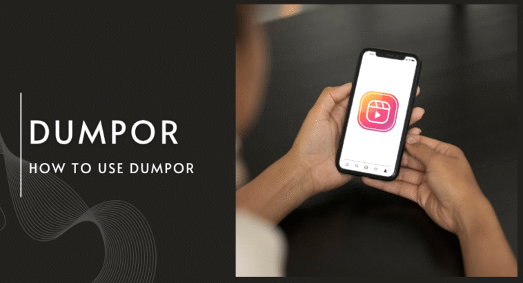 How to Use Dumpor: Step-by-Step Guide for Beginners