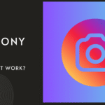 What Is Insanony IG and How Does It Work?