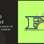 10 Creative Ways to Use Frisco Canvas in Your Home Décor